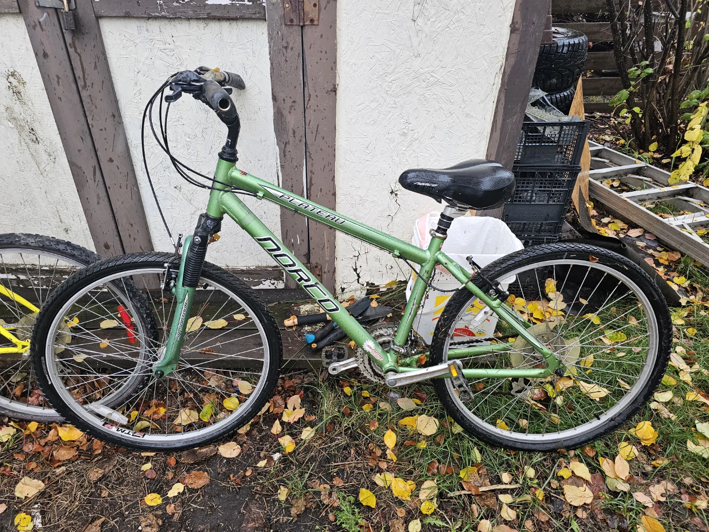 Norco Plateau Green Mountain Bike