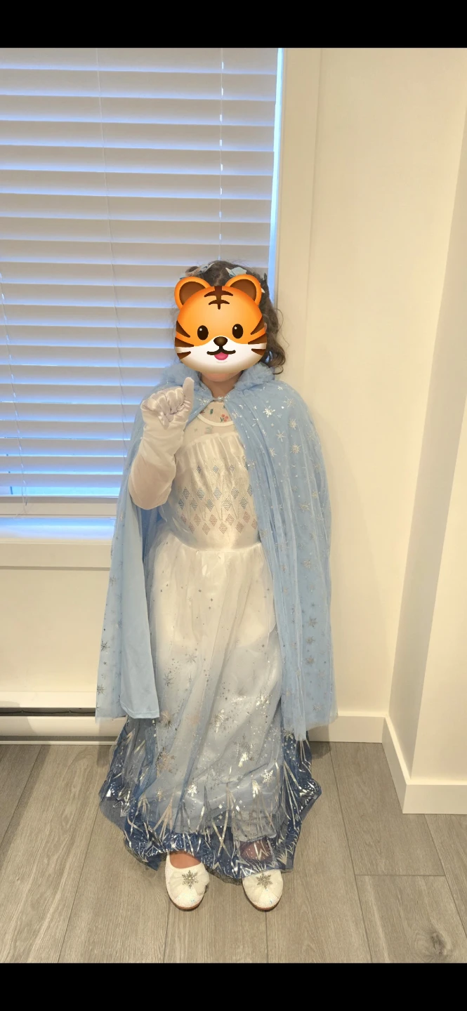 Disney Frozen Elsa Costume