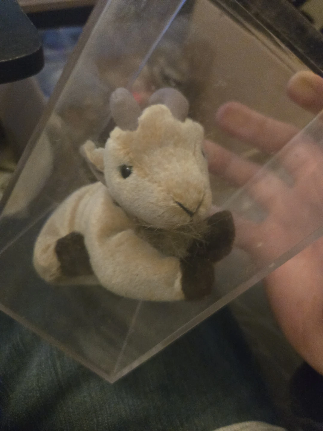 Ty Beanie Baby Goat Plush