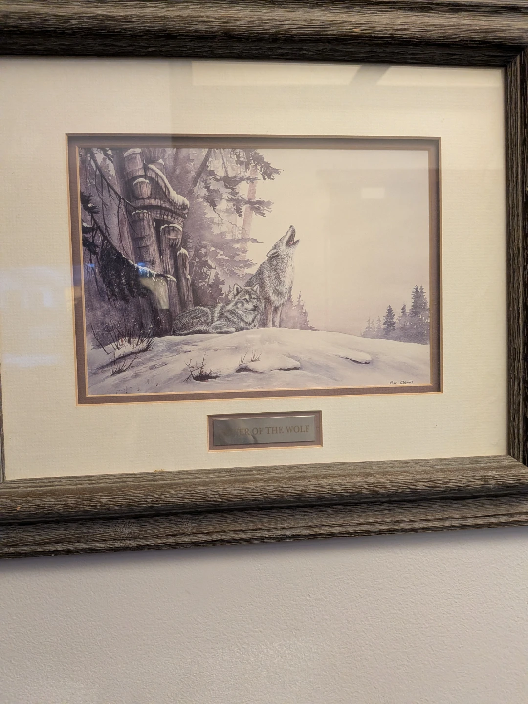 Spirit of the Wolf Framed Print - photo 2