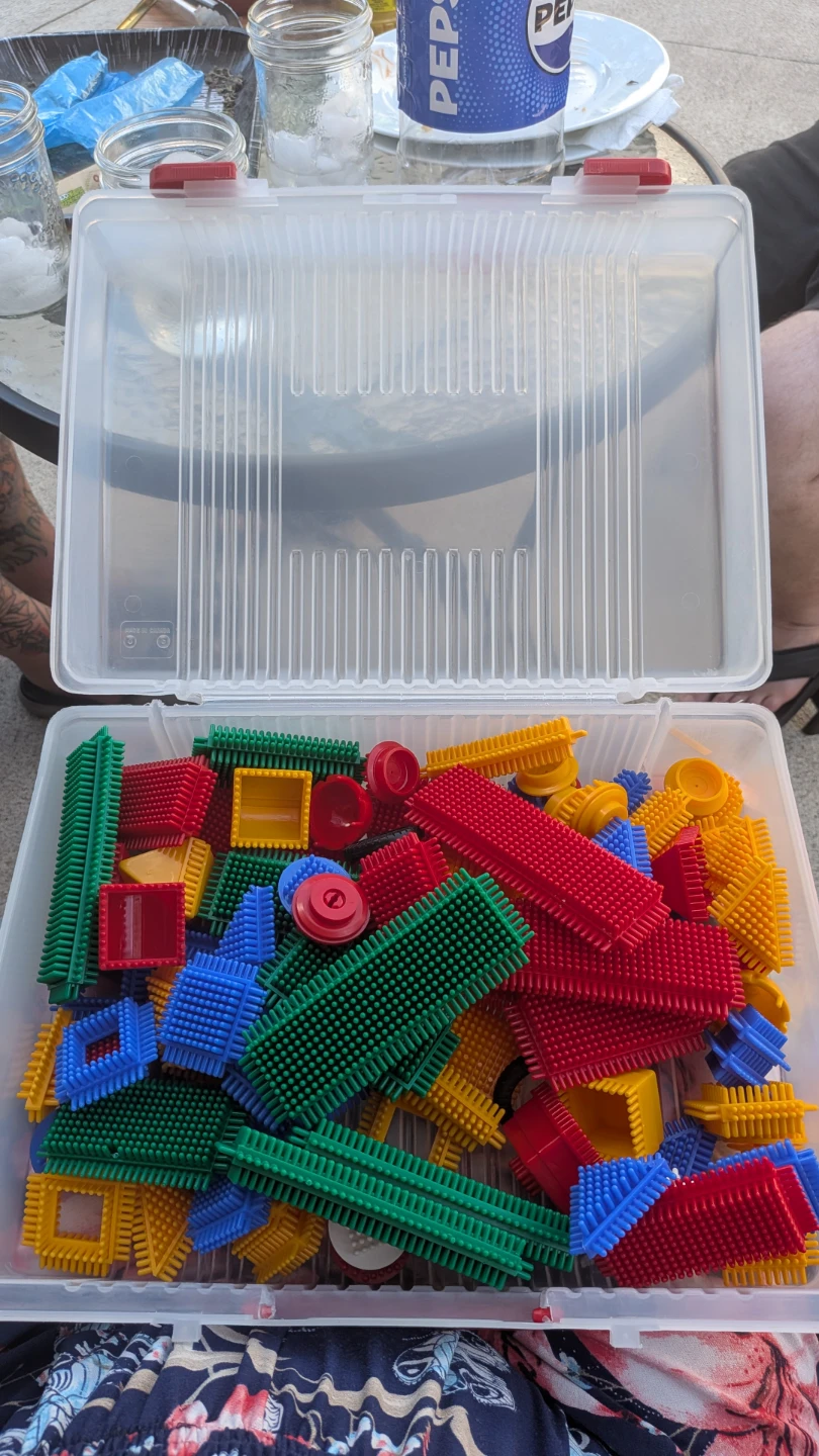 Bristle Block Building Set with Storage Case