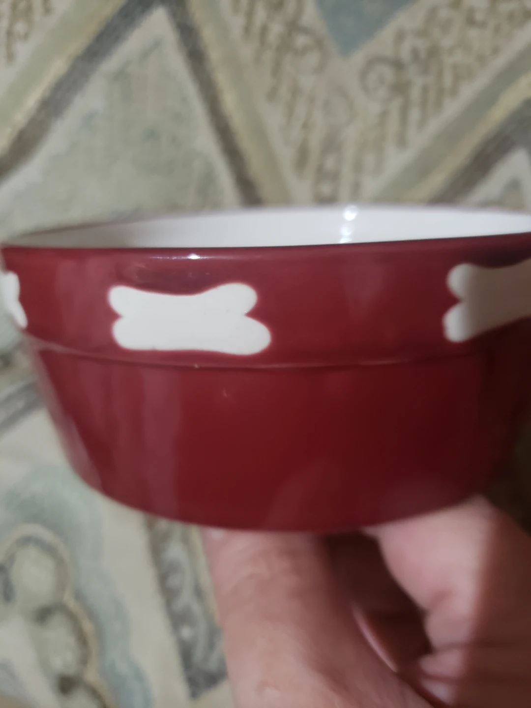 Red Ceramic Dog Bowl.  Spot brand