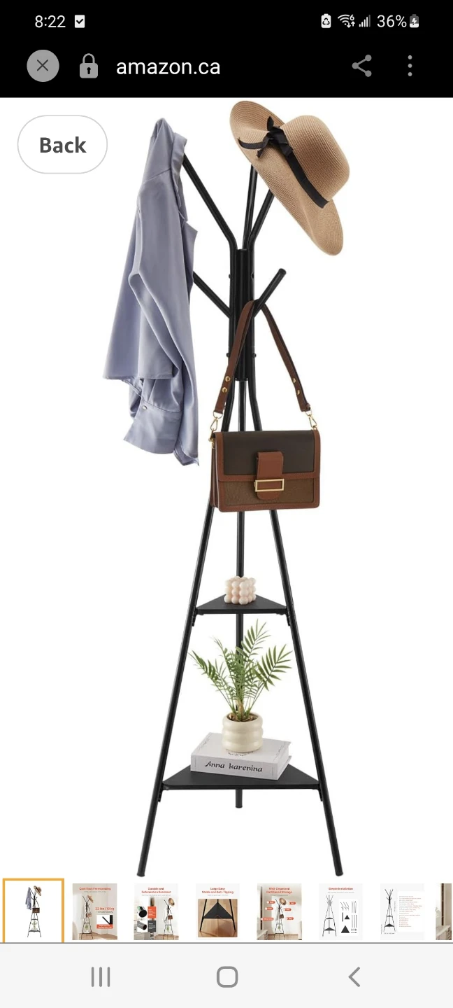 Freestanding Carbon Steel Coat Rack with 2 Shelves - photo 4