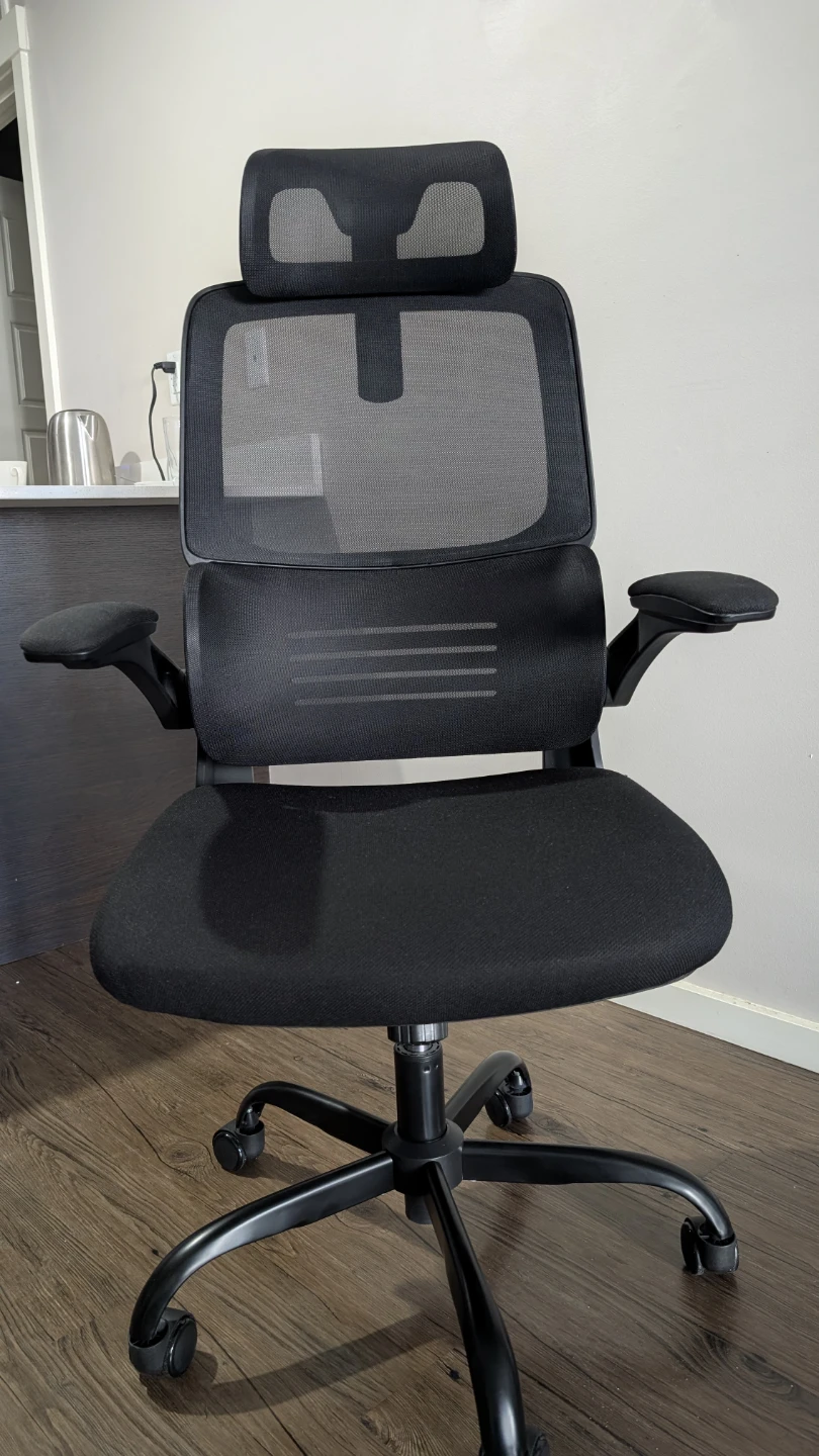 Black Ergonomic Mesh Office Chair