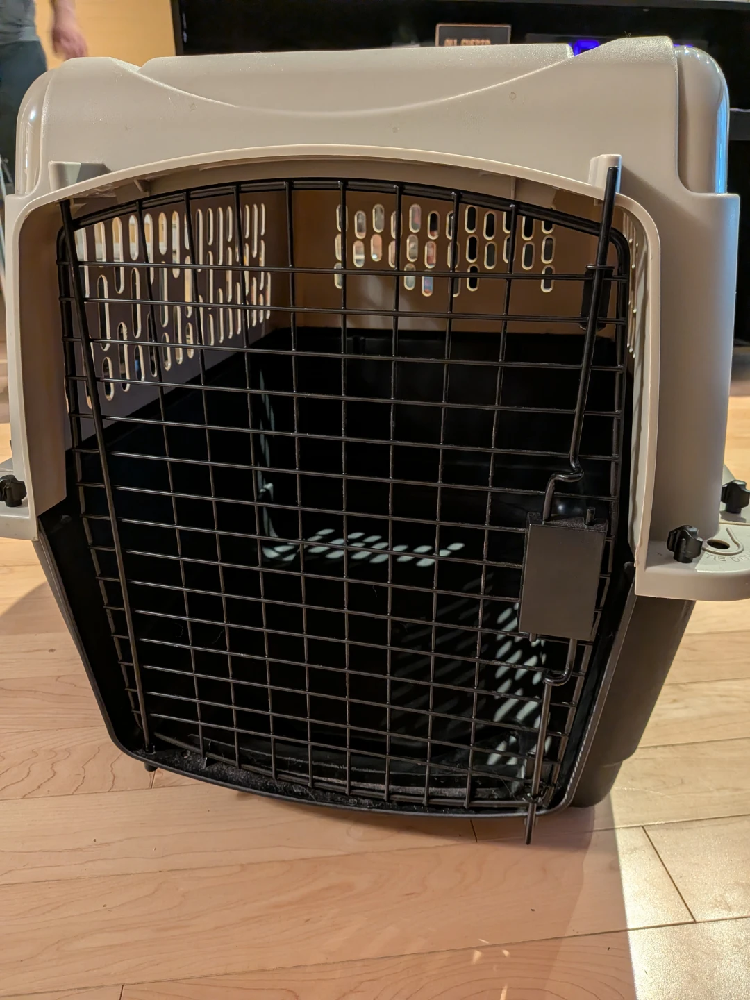 Large Plastic Pet Travel Crate - Top Paw from Pet Smart