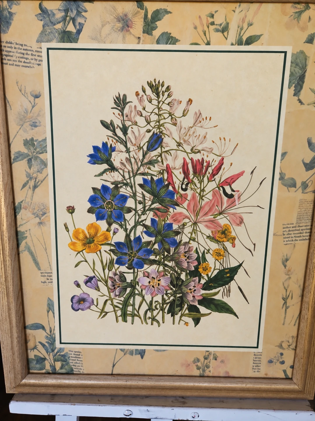 Vintage Framed Jane Loudon Ladies Botanical Garden - photo 3