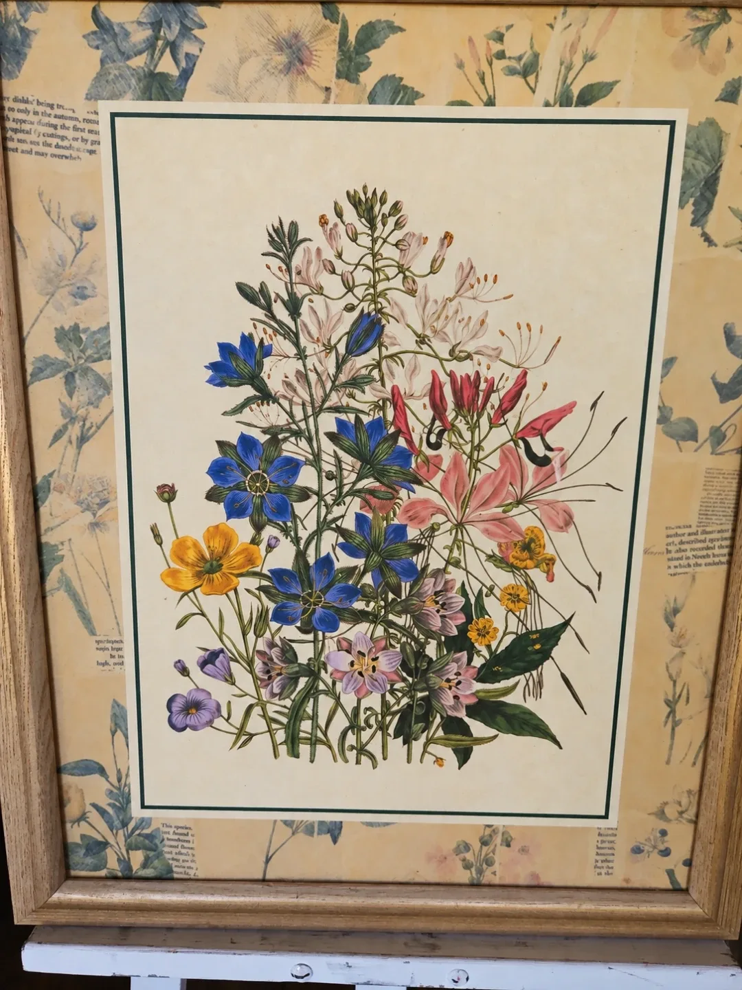 Vintage Framed Jane Loudon Ladies Botanical Garden - photo 3