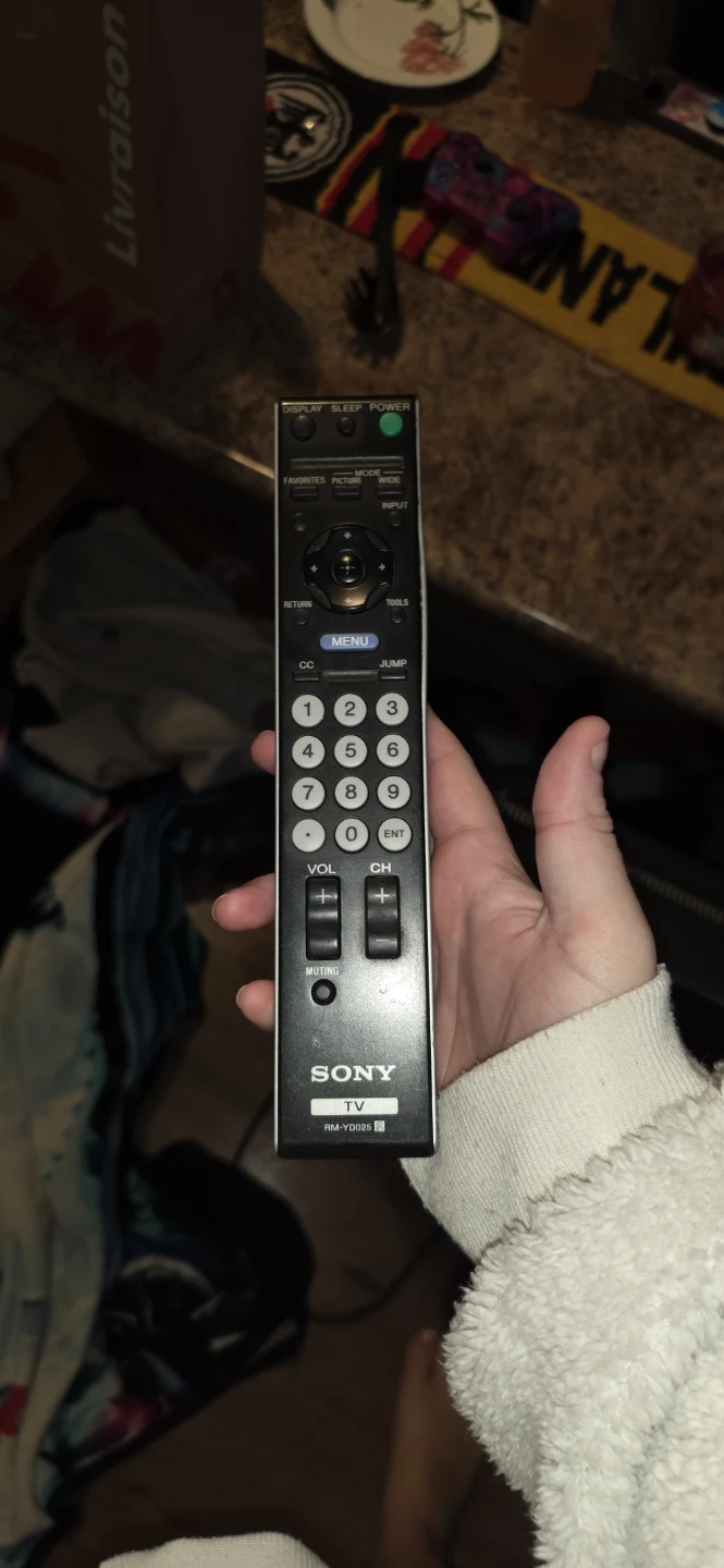 Sony Bravia Television with Remote - photo 2