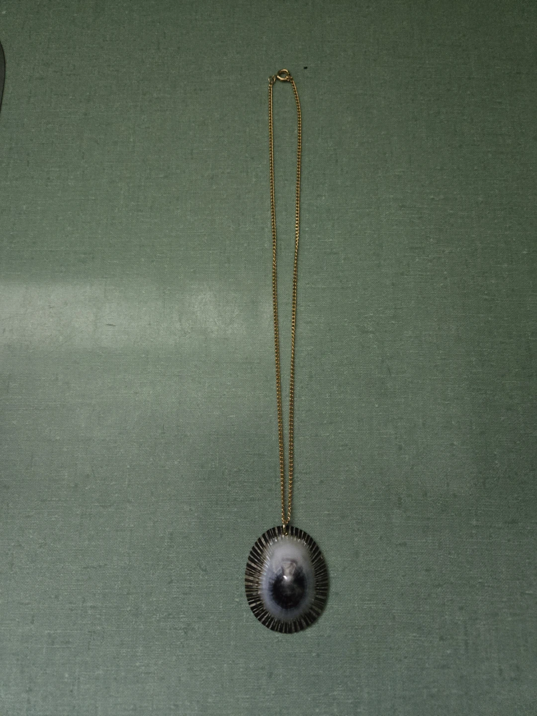 NEW * Beautiful * SHELL PENDANT  * and CHAIN *