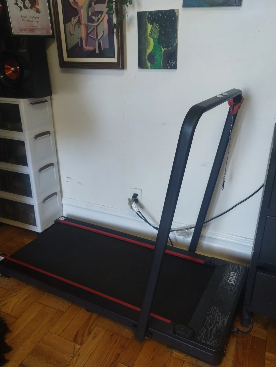Dog treadmill - photo 3