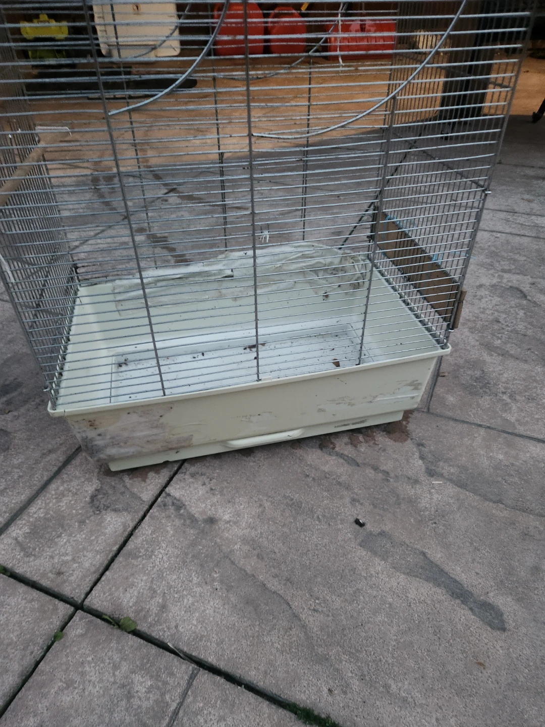 Birdcage - photo 2
