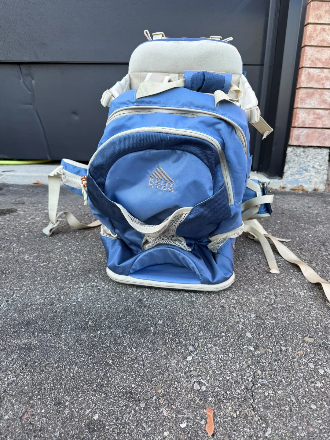 Kelty Kids Blue Child Carrier Backpack - photo 4