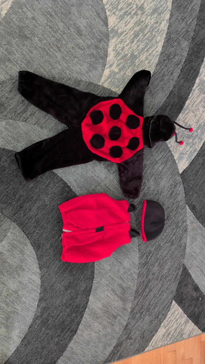 Kids reversible bug costume set ladybug - photo 2
