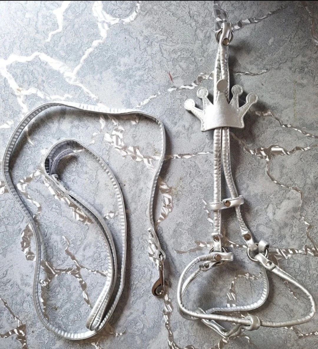 Silver Crown Pet Harness and Leash Set