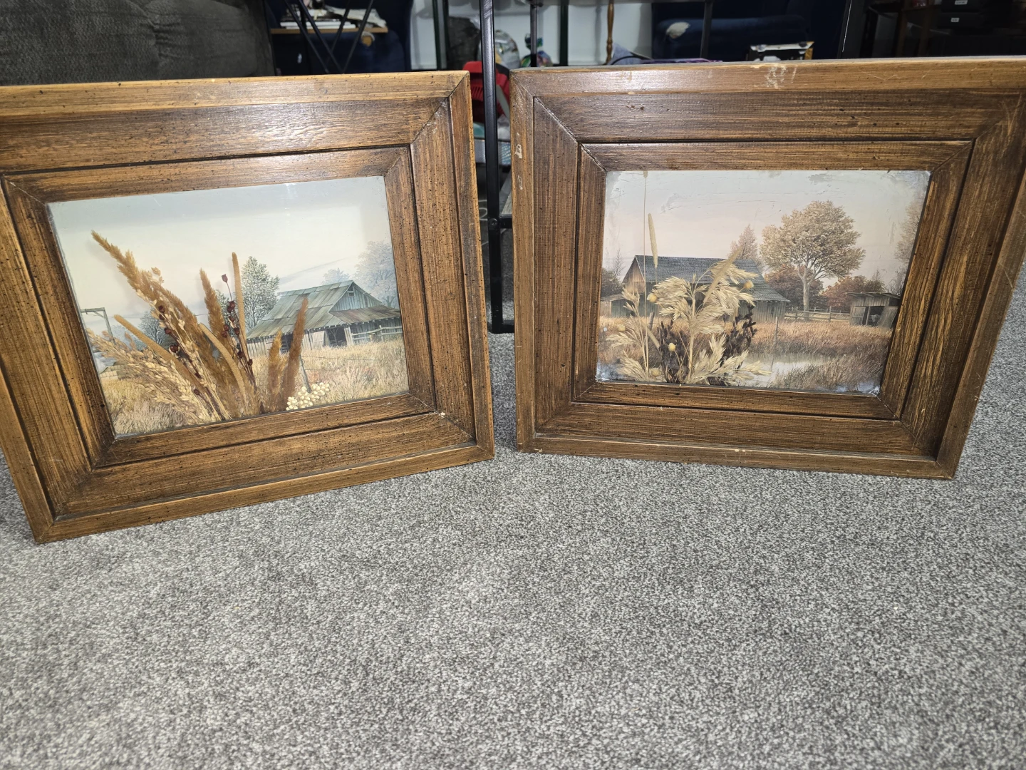 Large Pictures — NEED GONE ASAP