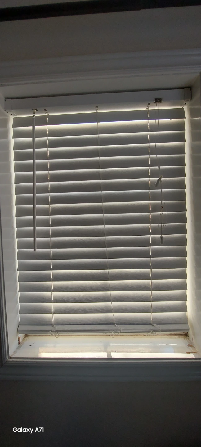 Vinyl Window Blinds