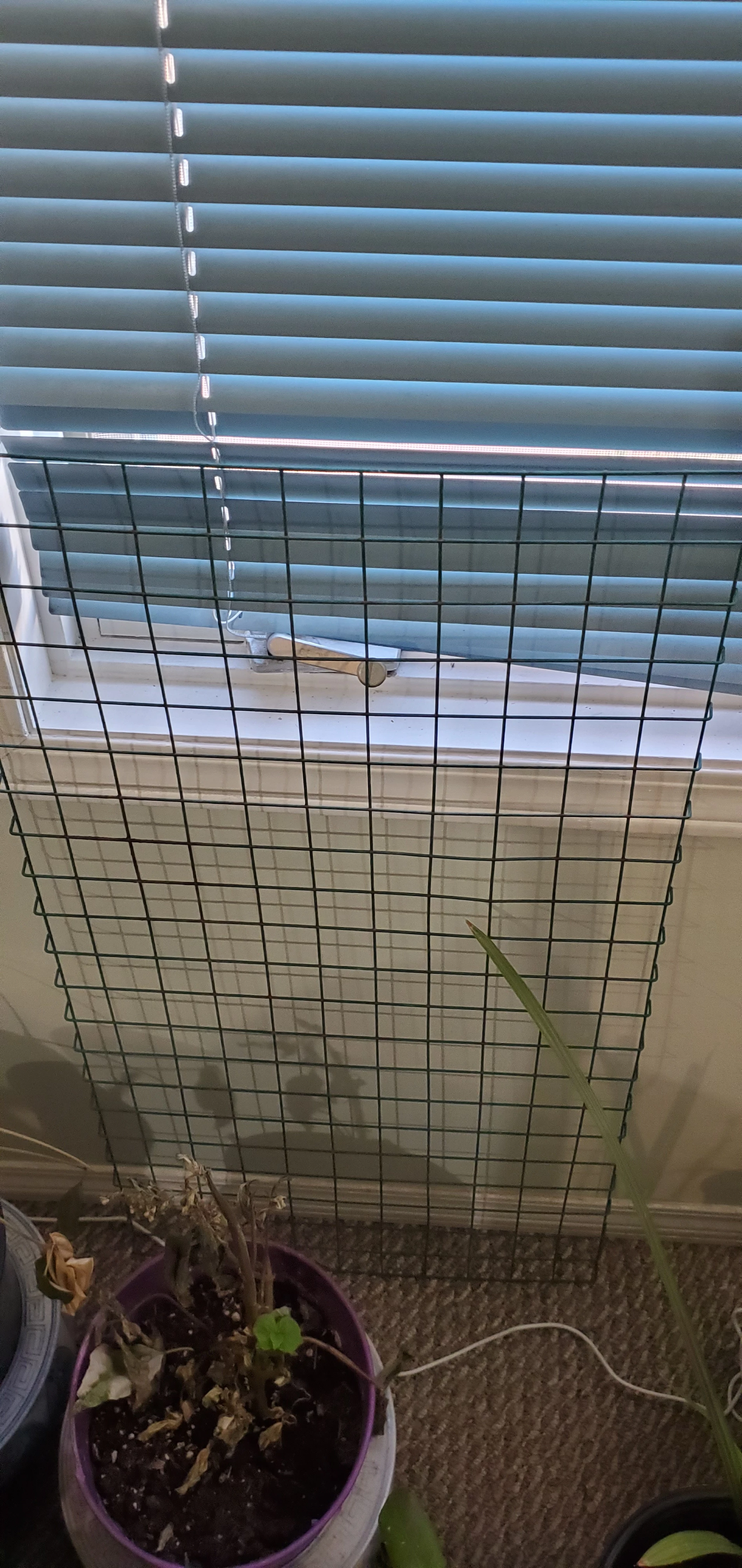 Green Metal Grid Display Panel - photo 3
