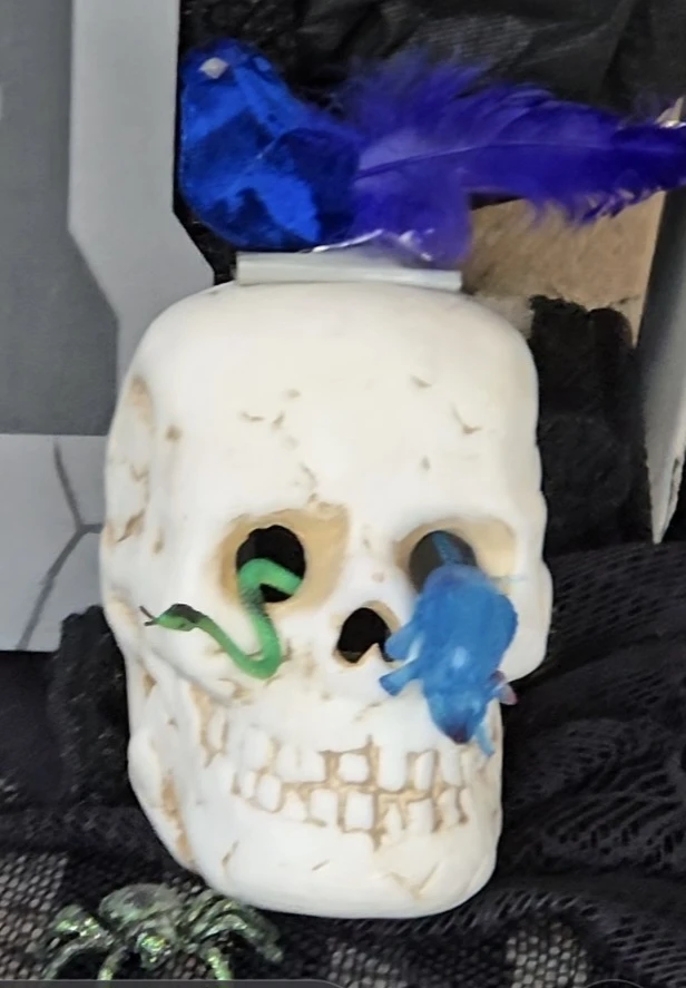 Halloween Decoration Bundle