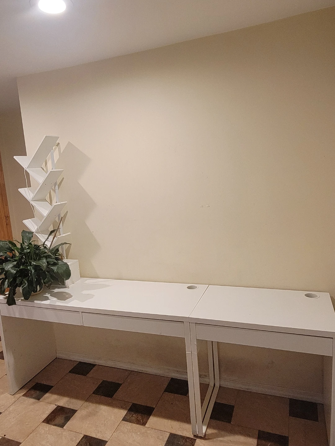 2 IKEA Desk   +  Bookshelf   +  Peace Lily Plant
