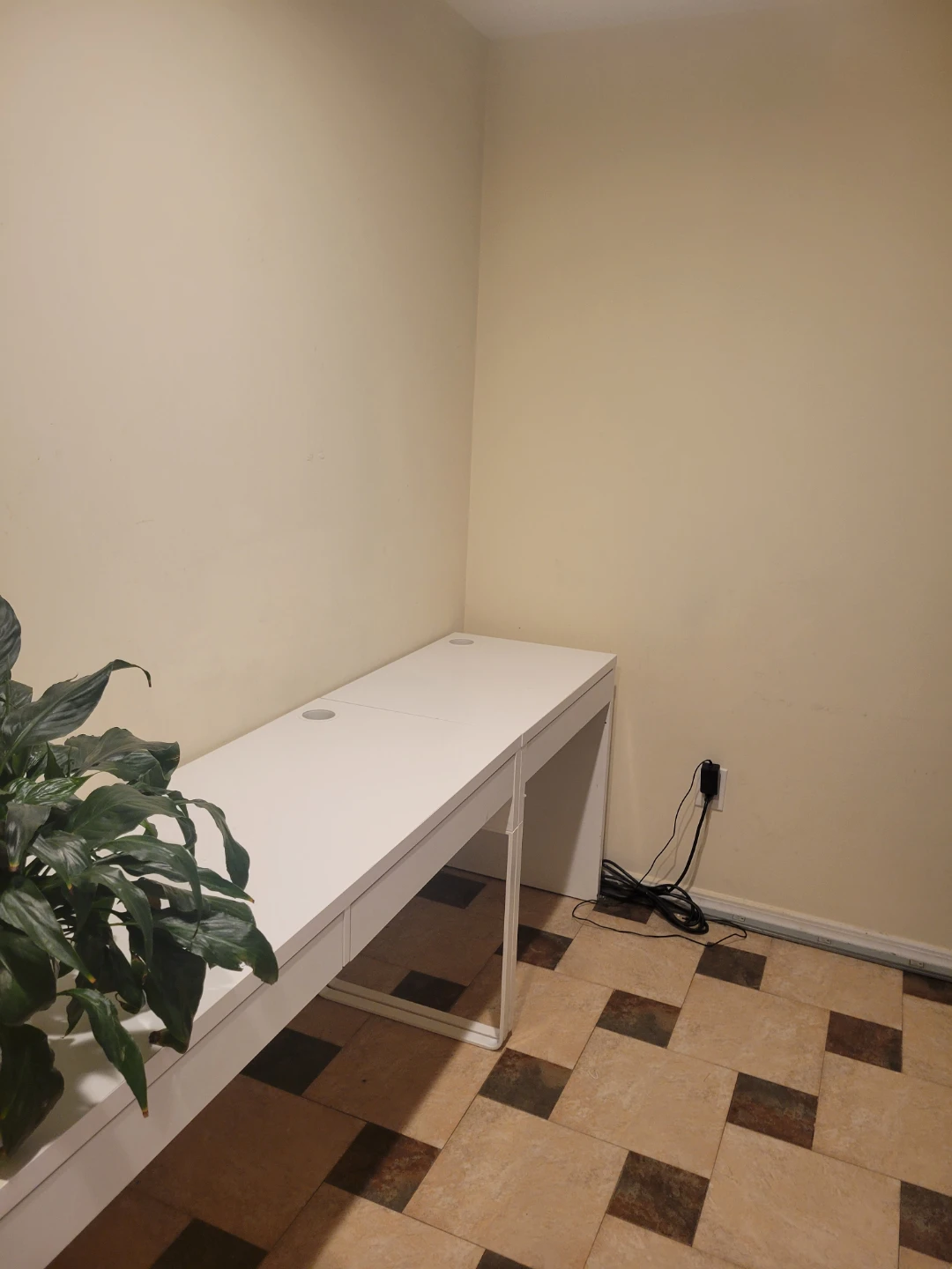 2 IKEA Desk   +  Bookshelf   +  Peace Lily Plant - photo 4