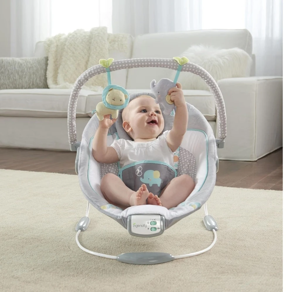 Ingenuity Baby Bouncer