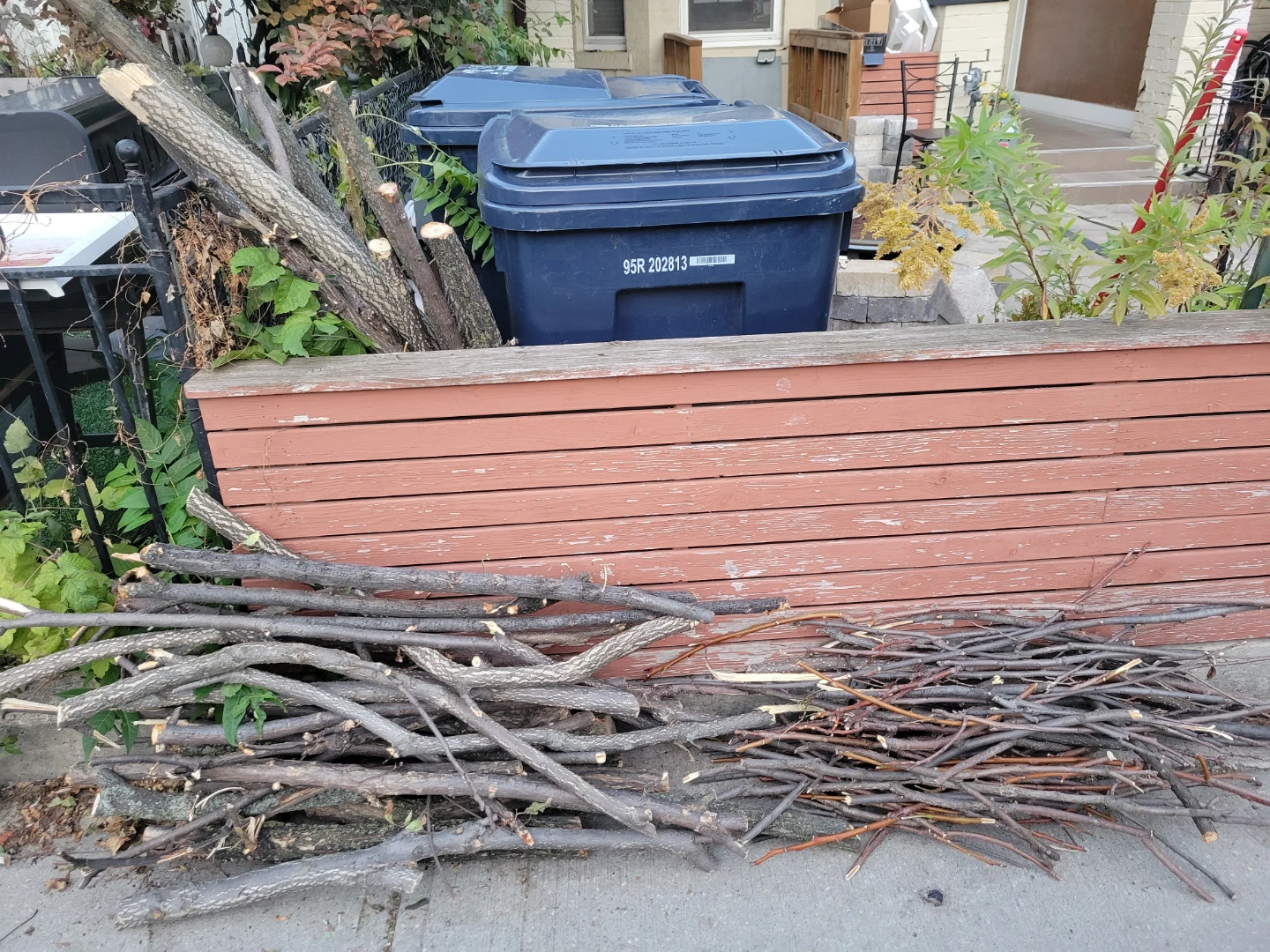 Free firewood Natural tree branches and twigs