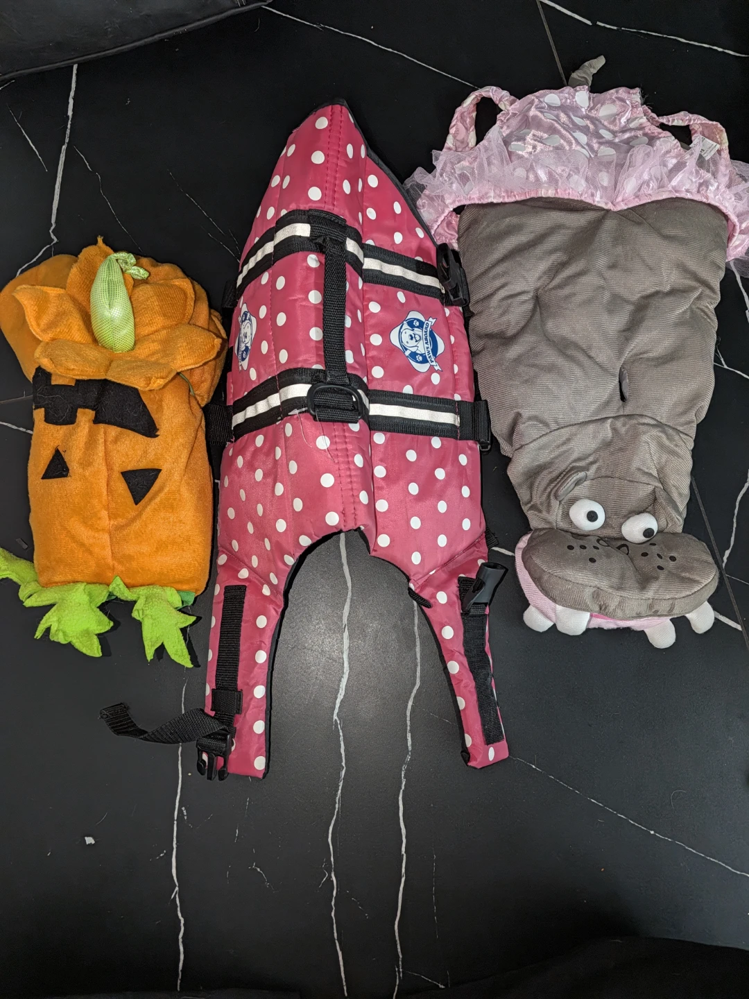 Dog Clothing Bundle: ThunderShirt, Life Vest, and Costume