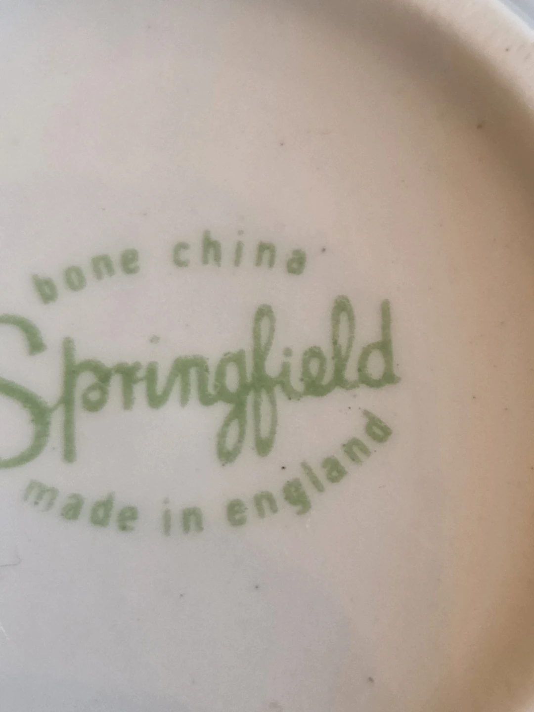 Springfield Bone China Tea Cup and Saucer Set - photo 2