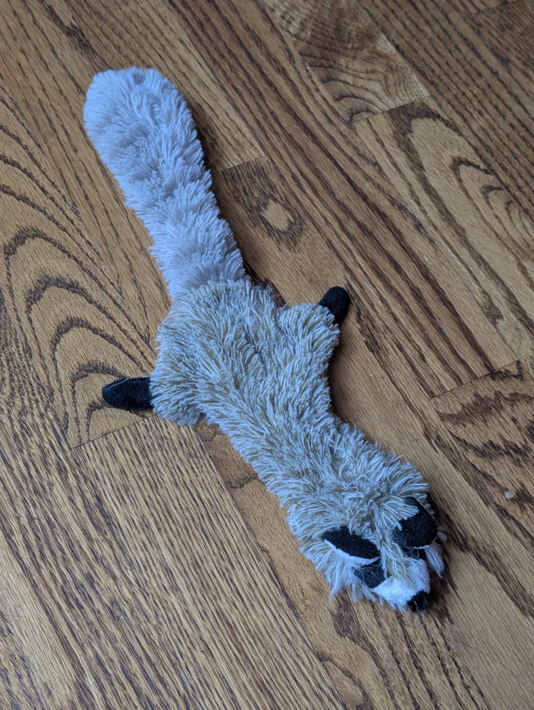Flat Raccoon Plush Dog Toy