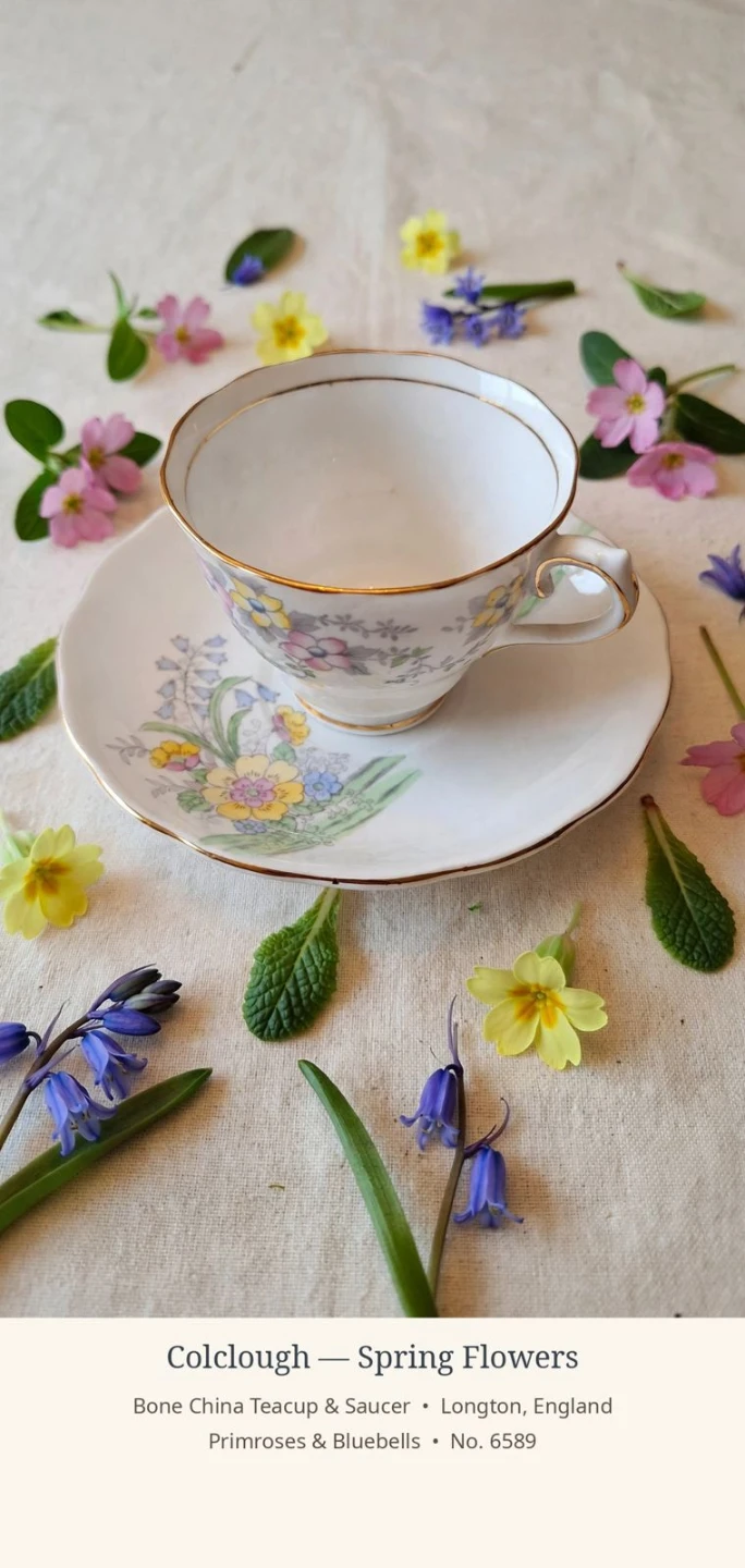 Colclough Spring Flowers Bone China Teacup & Saucer