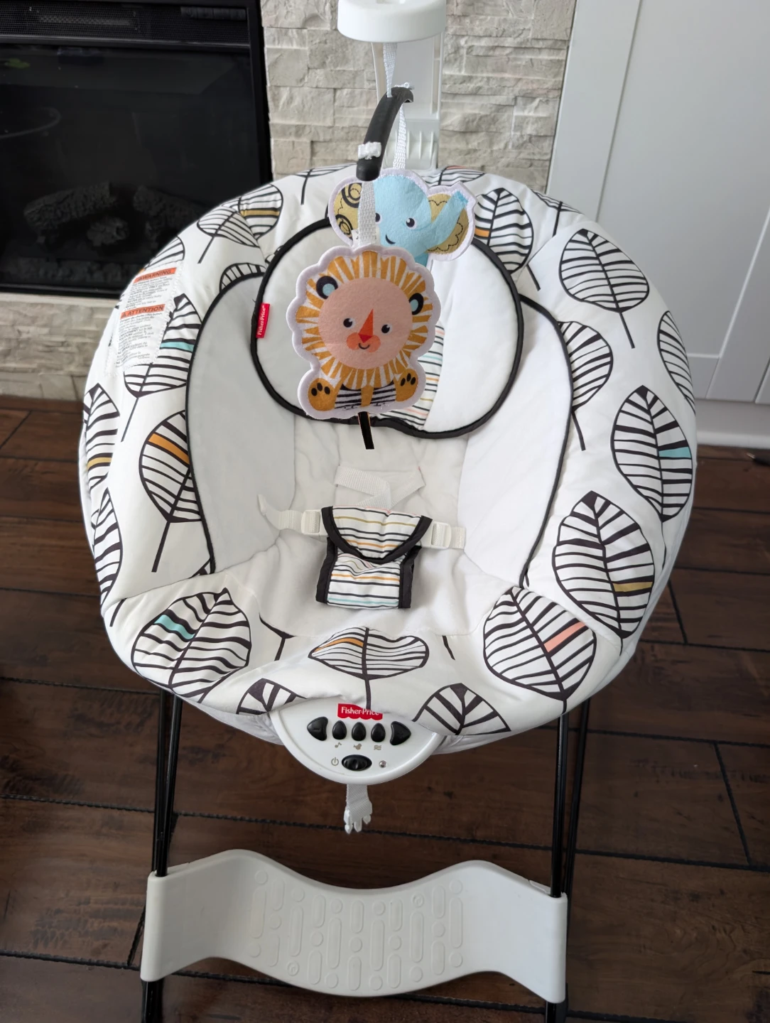 Fisher-Price Baby Bouncer