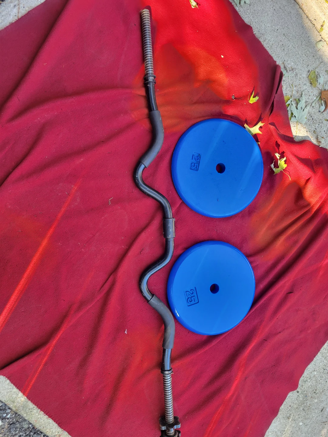 50LBs  1" HOLE.  EZ-CURL BAR 2-25s. - photo 2