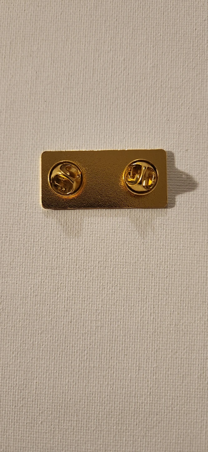 OUTATIME License Plate Enamel Pin - photo 2