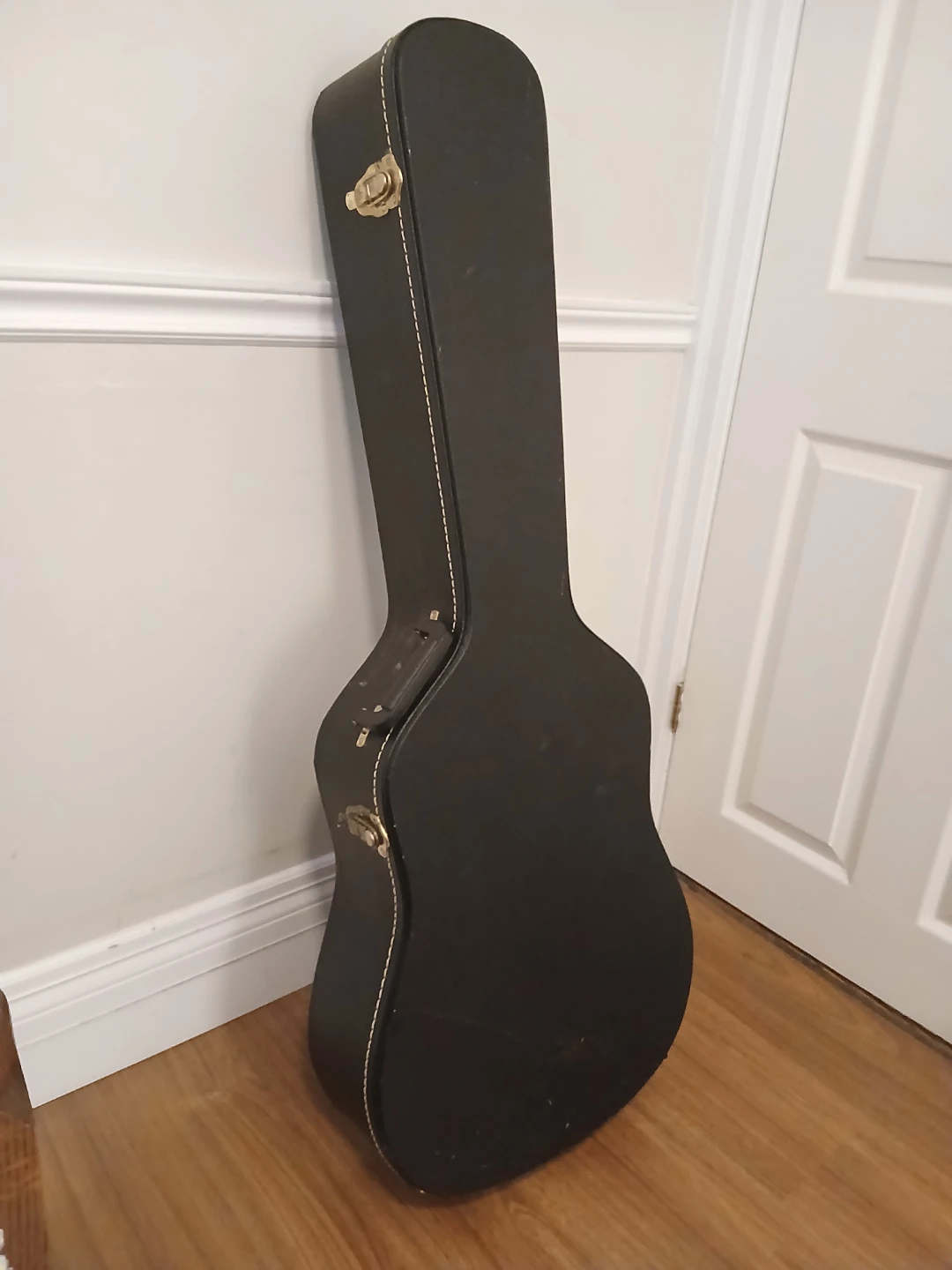 Acoustic Guitar Hard Case