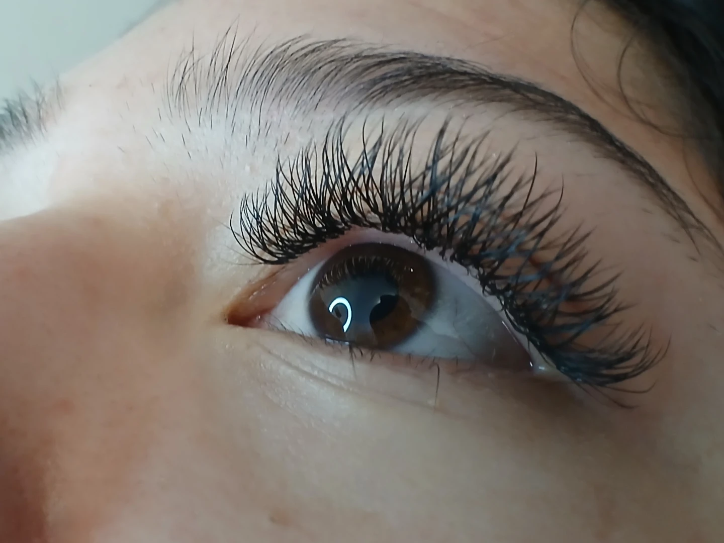 Se busca Modelo para extensiones de pestañas