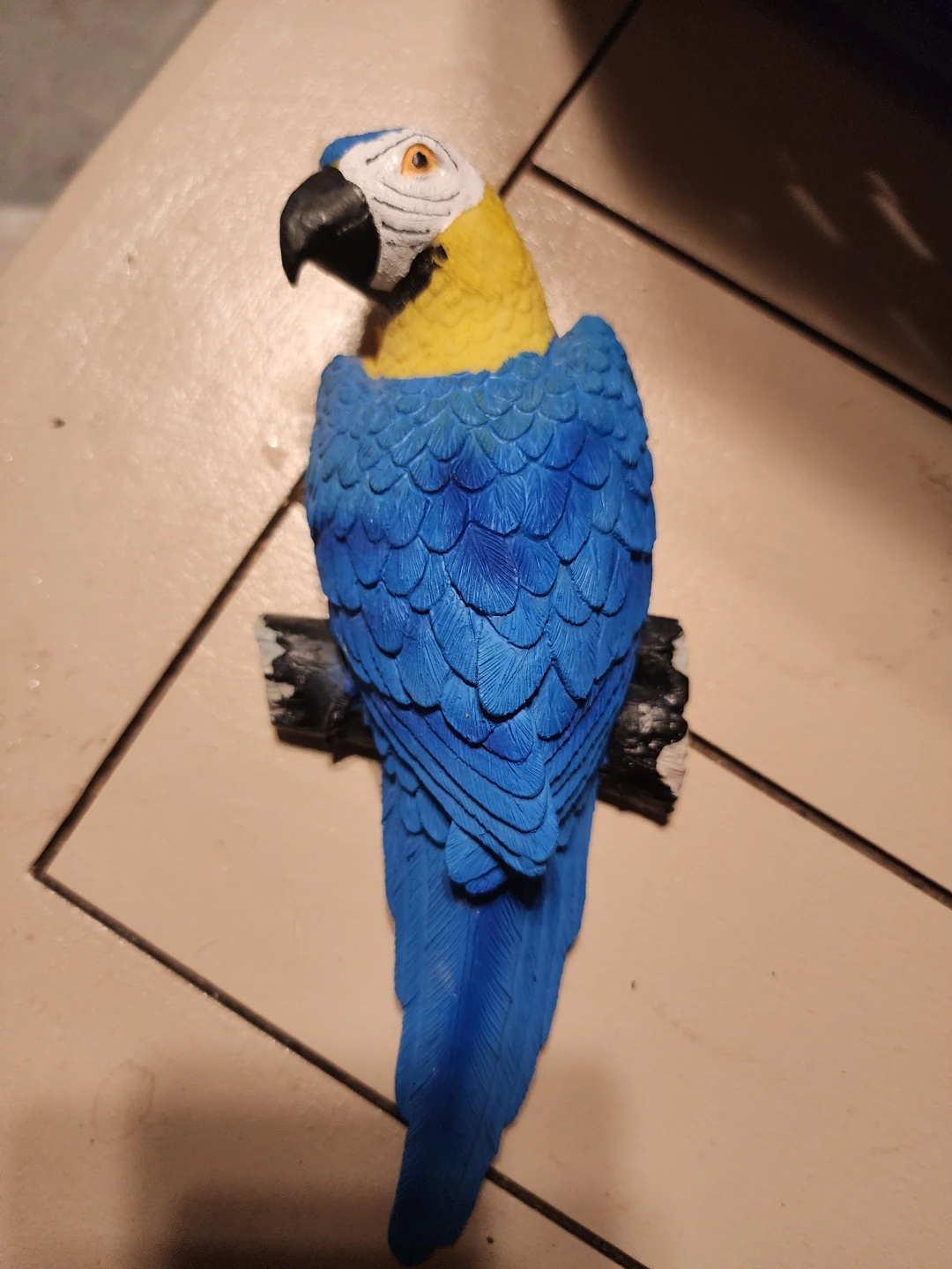 Parrot wall decor