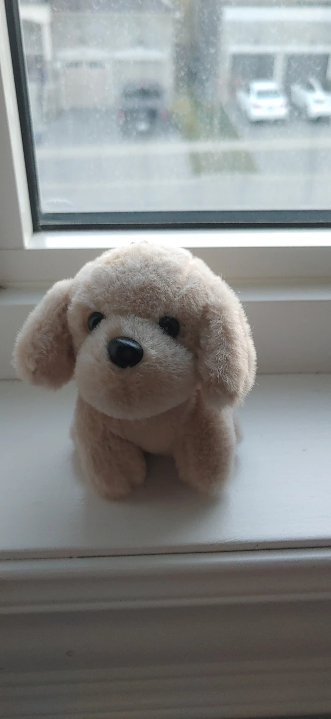 Plush Puppy Keychain