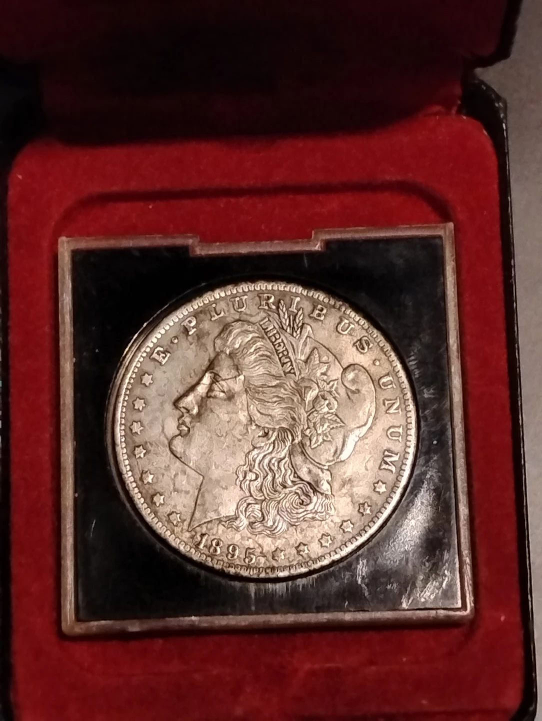 1895 Morgan Silver Dollar - photo 2
