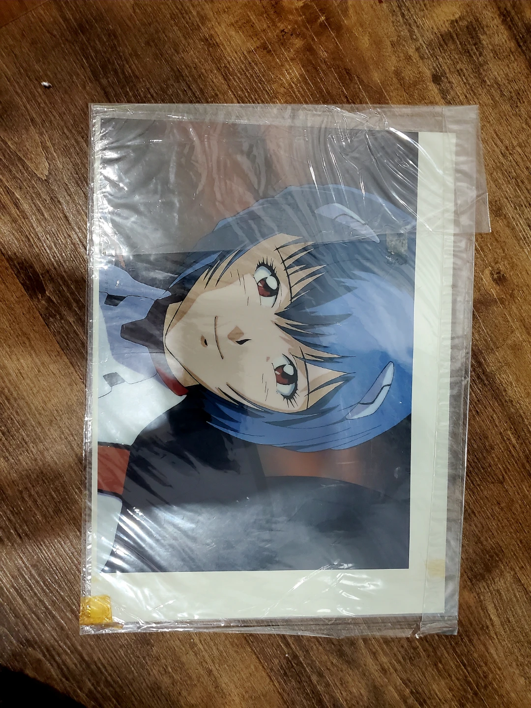 Rare vintage Evangelion Cellu Club Rei Ayanami Animation Cel