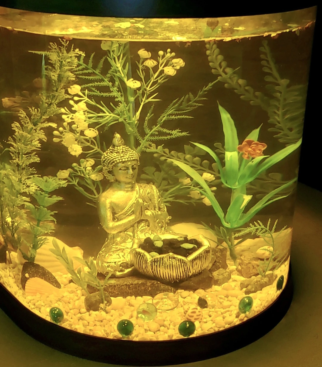 Aquarium 10 Gallon with Filter - photo 2