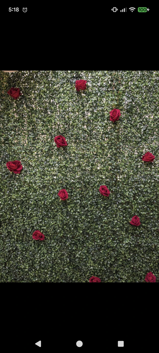 Artificial Boxwood Backdrop and Large Roses and centerpieces - photo 4