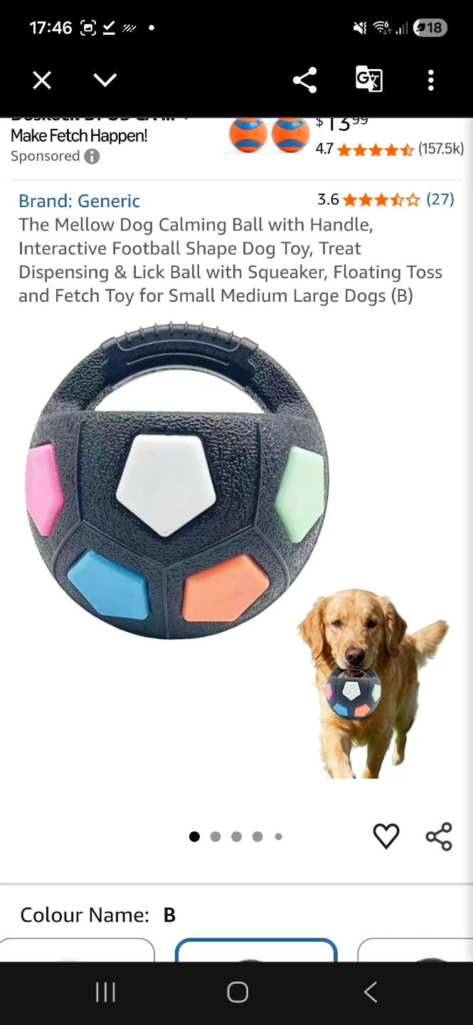 Soccer Ball Dog Toy with Handle