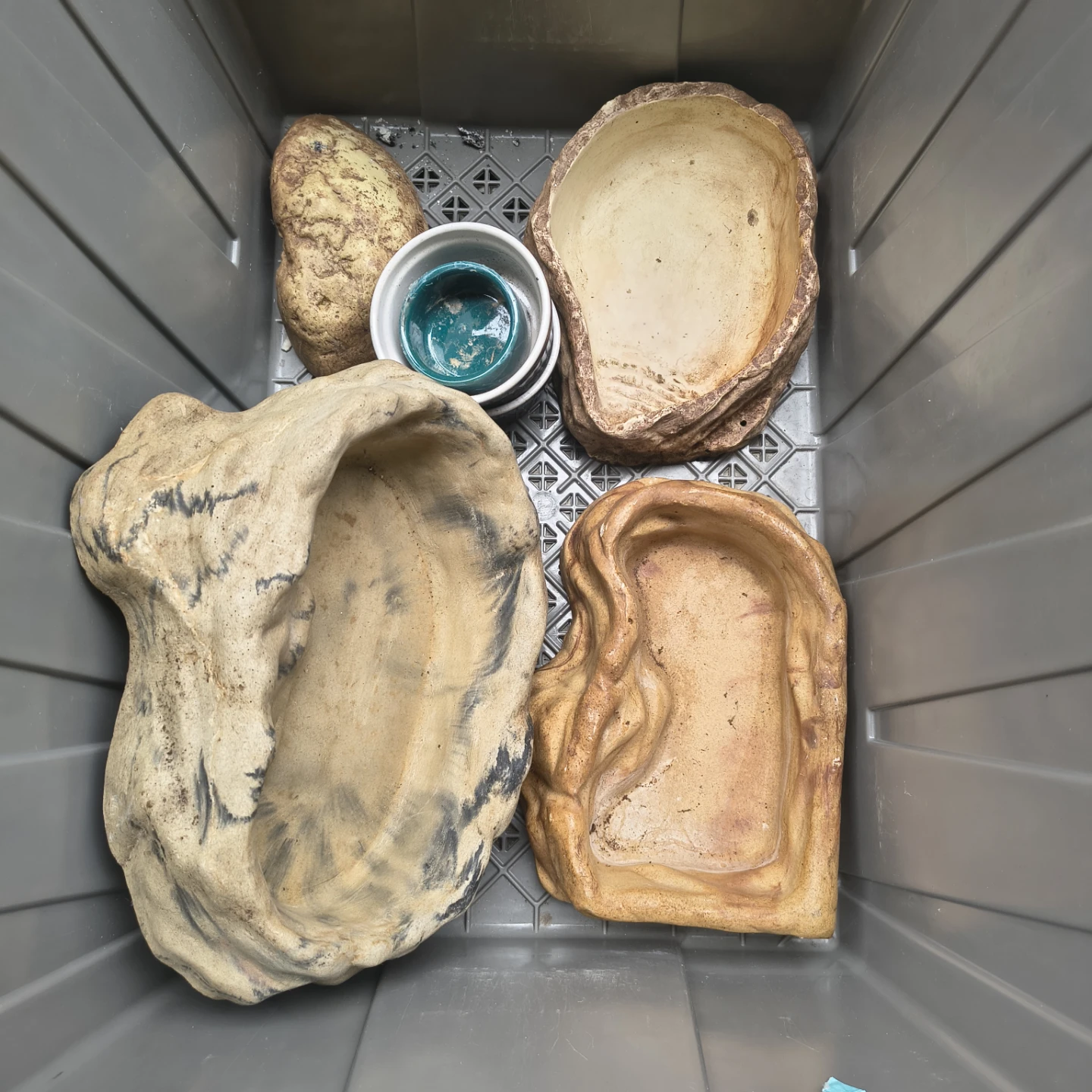 Reptile terrarium supplies lot