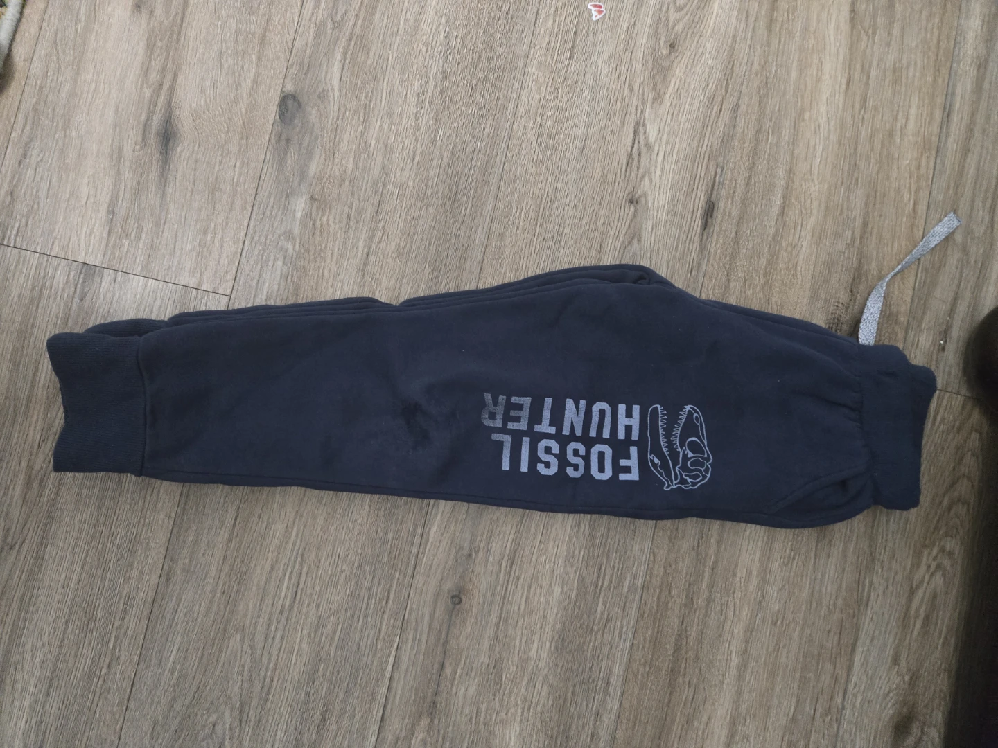 Kids Fossil Hunter Sweatpants size 4