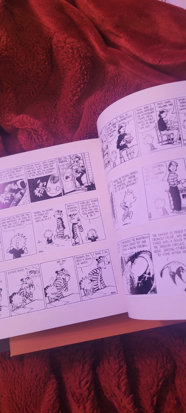 The Complete Calvin and Hobbes Four-Volume Set - photo 3