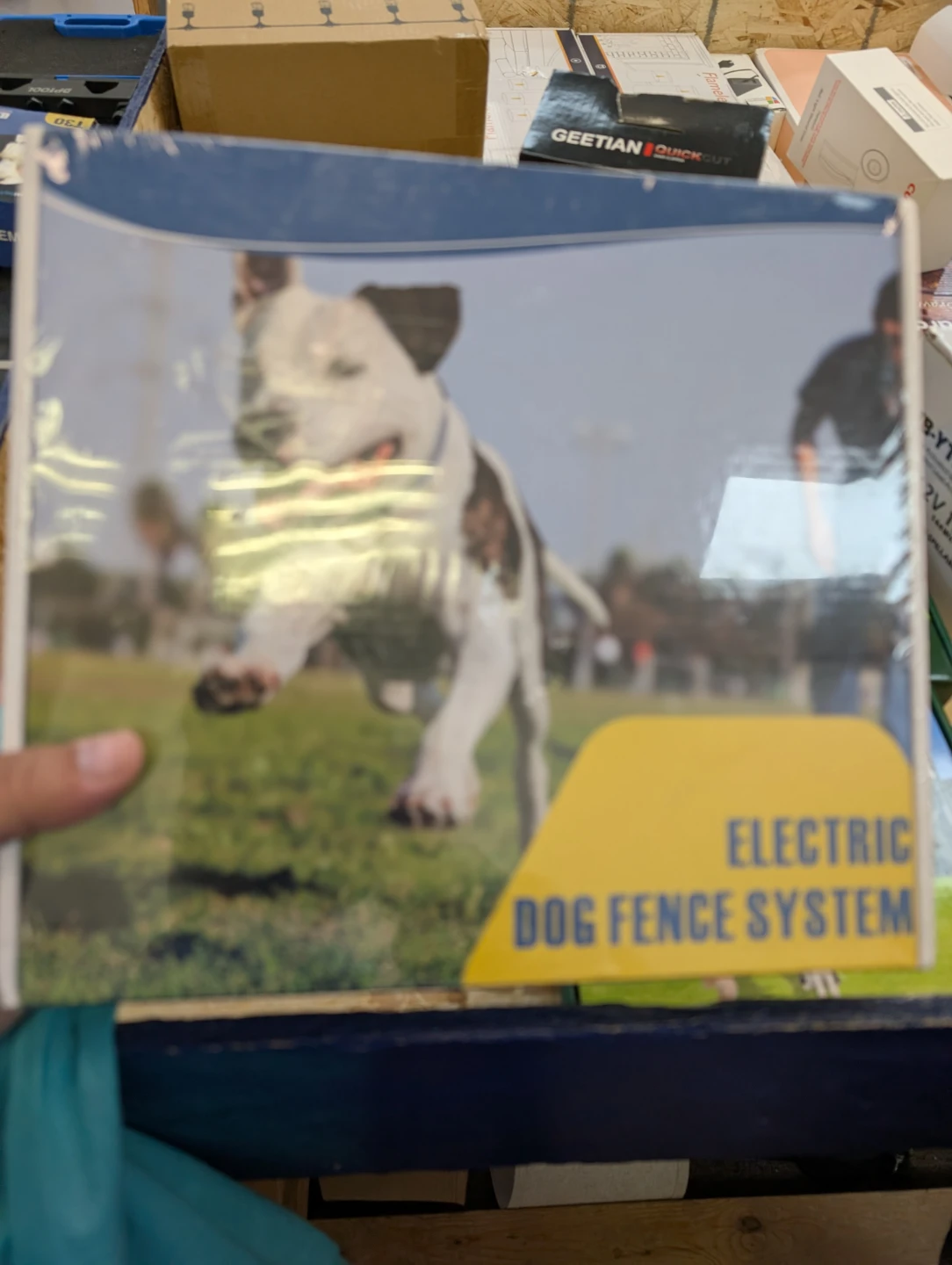 Electric Dog Fence System