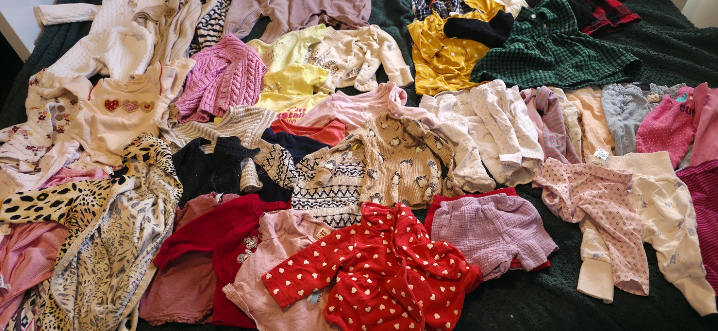 Huge Baby Girl Clothing Clothing Bundle (Newborn to 3–9 Months) - photo 2