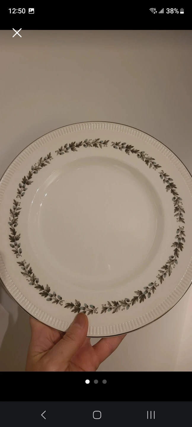 Simpsons Potters Roanoke Earthenware Plate