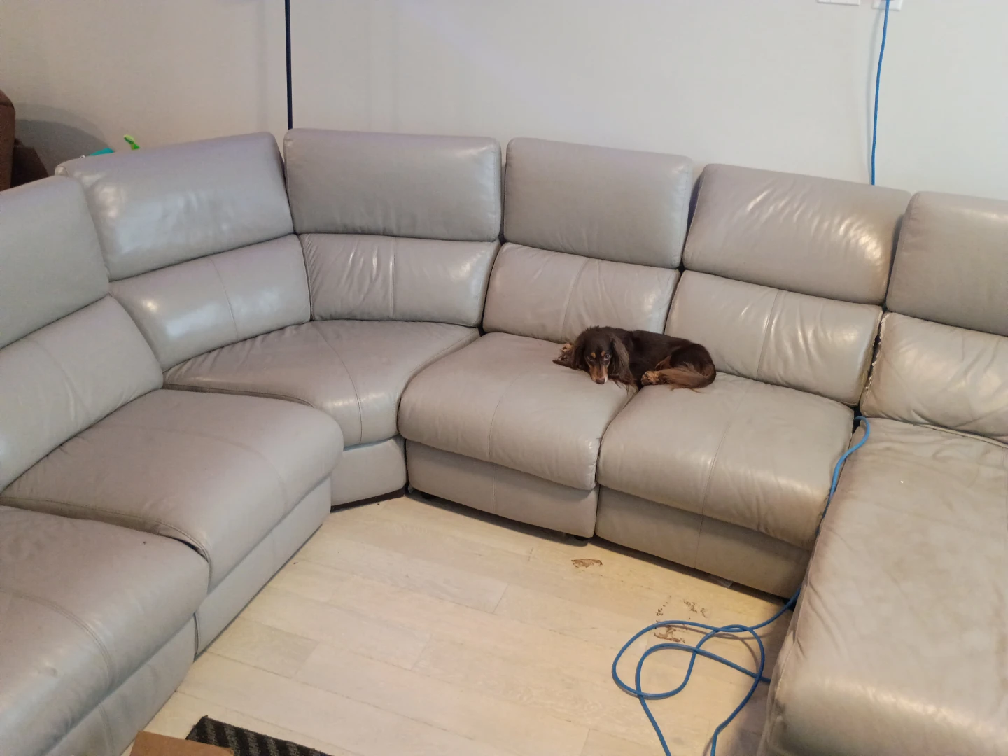 Large Leather sectional couch 450 obo