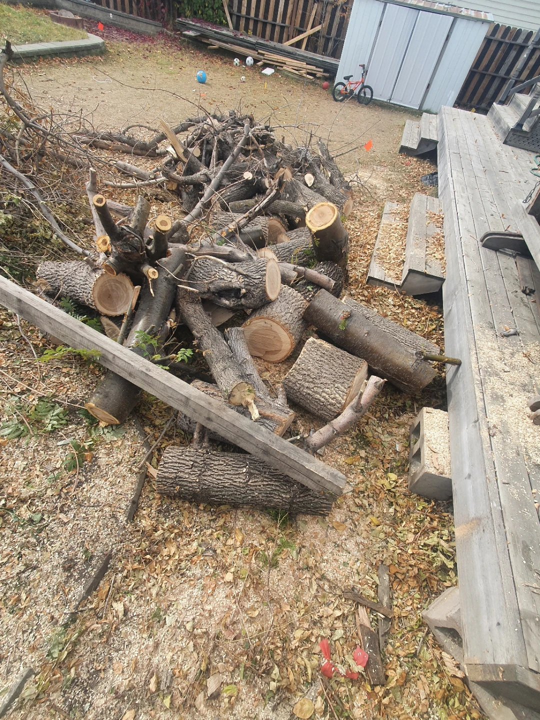 Firewood and Yard Waste